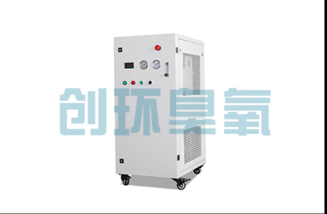 益阳工厂化养鲈必看:2026年臭氧发生器替代传统消毒的最新方案