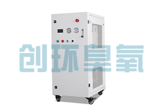 益阳石斑鱼养殖水质调控完整指南:臭氧发生器配置与操作步骤