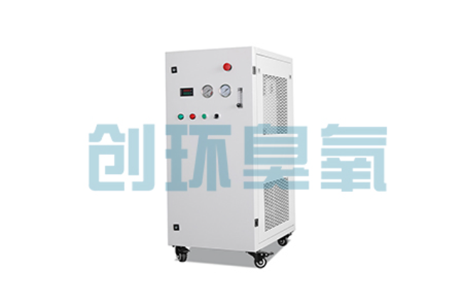 益阳比传统换水更高效?臭氧发生器在石斑鱼养殖中的水质净化原理解析